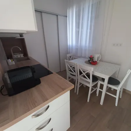 Panoramas Modern Lakas A Toertenelmi Belvarosban Apartament Debreczyn